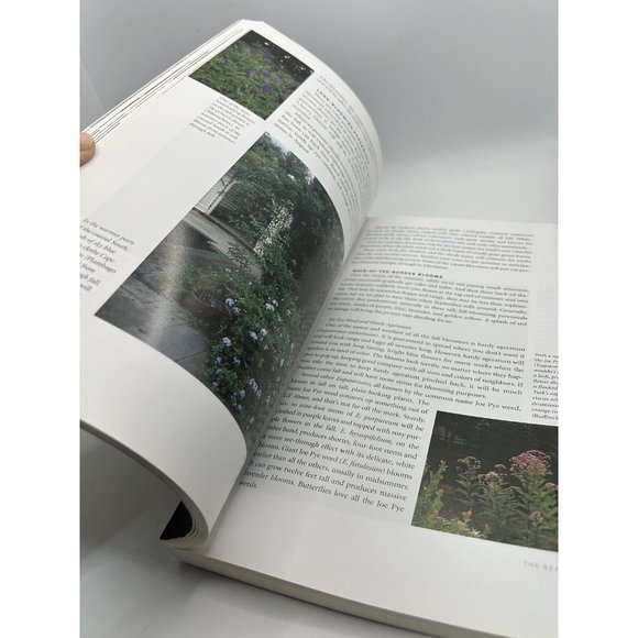 Garden Perennials for the Coastal South by Barbara J. Sullivan (2003, Trade... - Picture 9 of 10